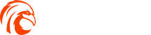 Flying Web Solutions - Web Agency in Cork City