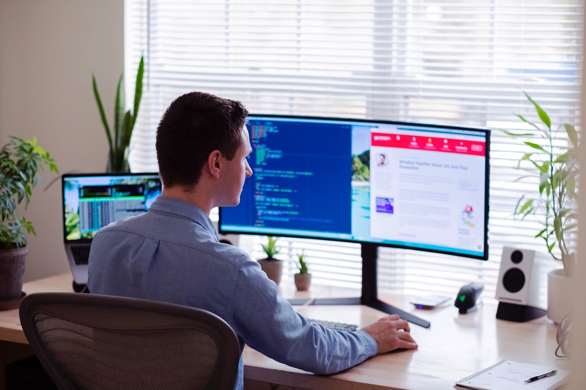ui/ux developer