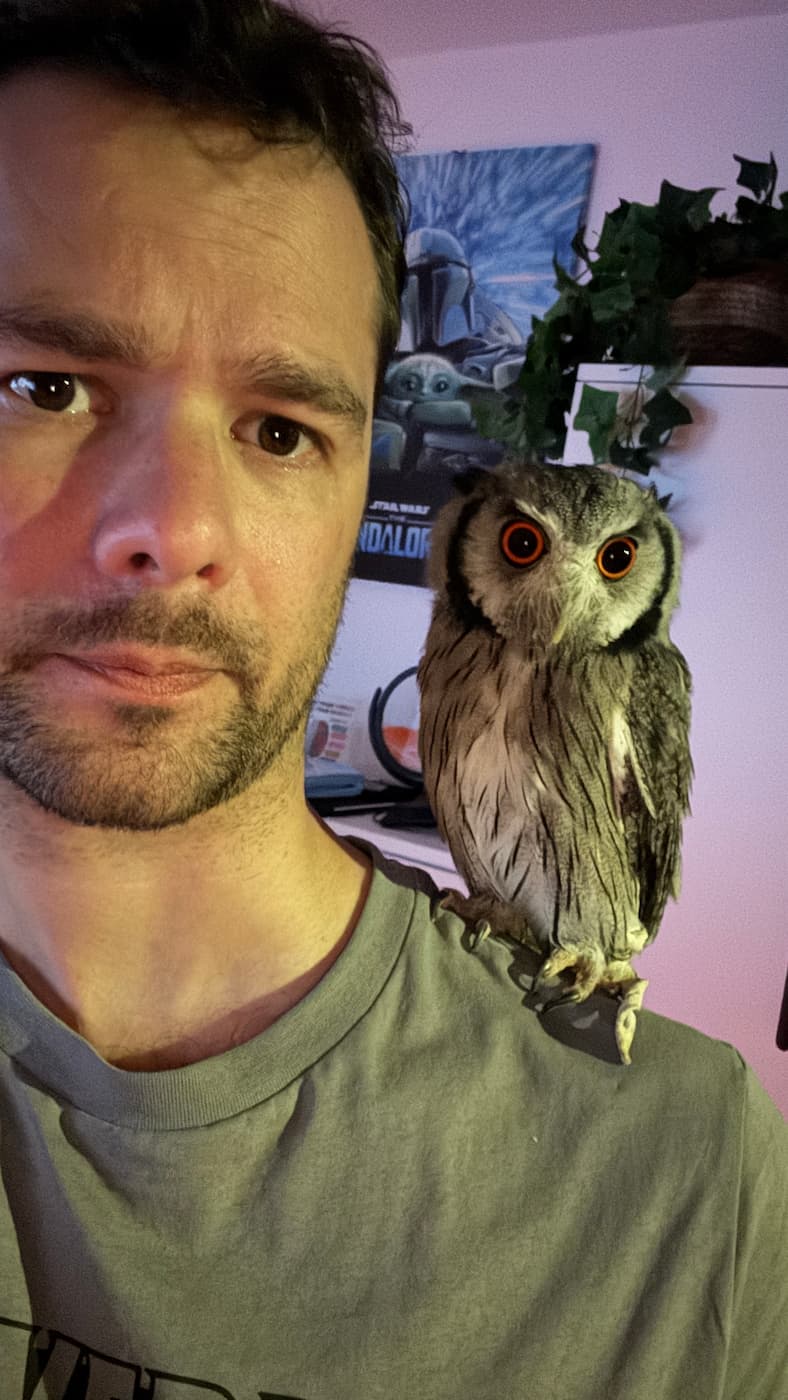 Davide and Missy the owl - Flying Web Solutions